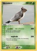 Mousebird