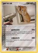 gan vs cat