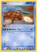 chat