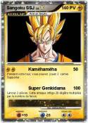 Sangoku SSJ