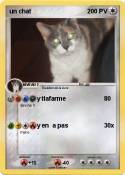 un chat