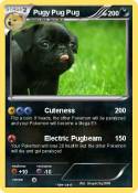 Pugy Pug Pug