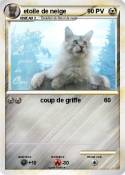 etoile de neige