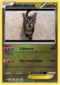 Dude the cat
