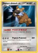 Payton's Bidoof
