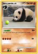 bacy panda