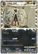 COOL CAT
