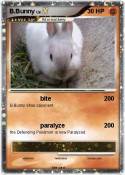 B.Bunny