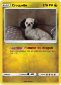 Croquette