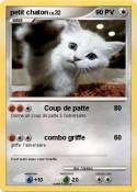petit chaton