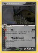 dog