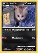 PETIT CHATON