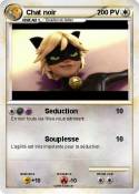 Chat noir