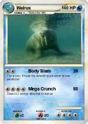 Walrus