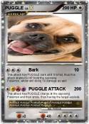 PUGGLE