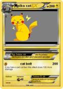 pika cat
