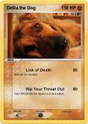 Delila the Dog