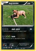 dog wonder