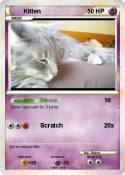 Kitten