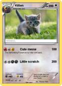 Kitten