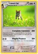 Cutest Cat