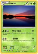 Swacle