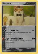 Pro Kitty