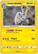 Golden Monkey