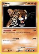 cheetah