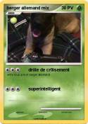 berger allemand