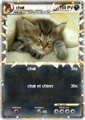 chat