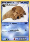 chien qui dor