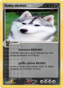 husky siberien