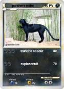 panthere noire