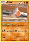 Lizard