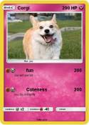 Corgi