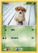 Puppy