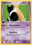 Chats Potes