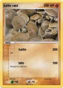 turtle raid
