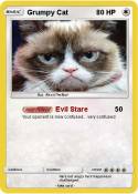 Grumpy Cat