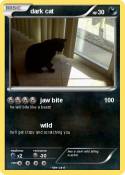 dark cat