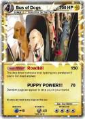 Bus of Dogs