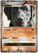 Lab