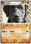 Lab EX
