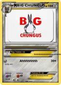 BIG CHUNGUS