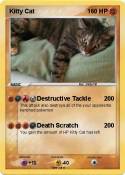 Kitty Cat