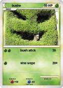 bushe