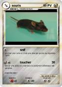 souris