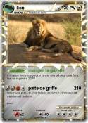 lion