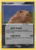 Liam Laggies